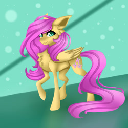 Size: 1024x1024 | Tagged: safe, artist:galaxynight100, fluttershy, pegasus, pony, g4, chest fluff, cute, ear fluff, female, looking at you, mare, raised hoof, shyabetes, solo