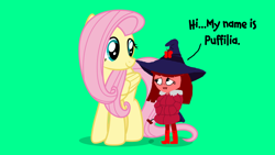 Size: 1920x1080 | Tagged: safe, artist:ianpony98, artist:luckreza8, fluttershy, oc, oc:puffilia, butterfly, human, g4, boots, clothes, coat, crossover, duo, hat, human and pony, interaction, red skin, shoes, witch, witch hat