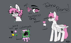 Size: 2048x1250 | Tagged: safe, oc, oc:techno bismol, pegasus, pony, glasses, pegasus oc, reference sheet