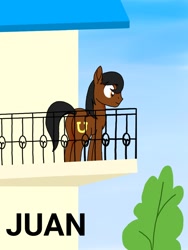 Size: 768x1024 | Tagged: safe, artist:windy breeze, pony, balcony, juan, meme, ponified, ponified animal photo, ponified meme, reference in the description, solo