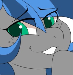 Size: 663x673 | Tagged: safe, artist:littlebibbo, oc, oc only, oc:bibbo, pegasus, pony, close-up, eye clipping through hair, female, freckles, looking at you, mare, raised hoof, smiling, smug, solo, stare