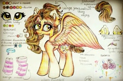 Size: 720x478 | Tagged: safe, artist:maryhoovesfield, oc, oc only, pegasus, pony, chest fluff, choker, clothes, cyrillic, ear fluff, eyelashes, flower, pegasus oc, reference sheet, rose, russian, signature, smiling, socks, solo, striped socks, traditional art, wings