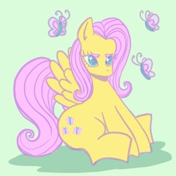 Size: 800x800 | Tagged: safe, artist:faekiwi, fluttershy, butterfly, pegasus, pony, g4, cute, female, green background, green eyes, mare, shyabetes, simple background, sitting, solo