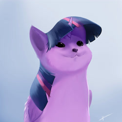 Size: 4000x4000 | Tagged: safe, artist:naafreelanceartist, twilight sparkle, alicorn, cat, pony, g4, :3, absurd resolution, kittycorn, pop cat, signature, simple background, smiling, solo, twilight cat, twilight sparkle (alicorn)