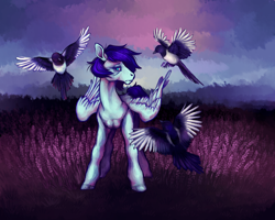 Size: 2500x2000 | Tagged: safe, artist:firewoodtemple, soarin', bird, magpie, g4, high res, solo