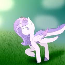 Size: 2000x2000 | Tagged: safe, artist:thecommandermiky, oc, oc only, oc:commander miky, dracony, dragon, hybrid, pony, grass, grass field, high res, solo
