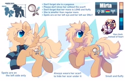 Size: 2300x1500 | Tagged: safe, artist:mirtash, oc, oc only, oc:mirta whoowlms, pegasus, pony, clothes, facial markings, looking at you, markings, reference sheet, scarf, solo, two toned wings, wings