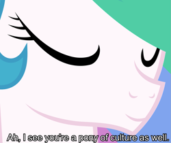 Size: 1219x1023 | Tagged: safe, artist:anonymouspotato, derpibooru exclusive, princess celestia, alicorn, pony, g4, caption, female, i see you're a man of culture as well, image macro, mare, meme, ponified meme, smiling, solo, text