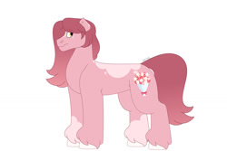 Size: 1280x854 | Tagged: safe, artist:itstechtock, oc, oc only, oc:morning glory (itstechtock), earth pony, pony, coat markings, earth pony oc, magical lesbian spawn, offspring, parent:lily valley, parent:roseluck, parents:roselily, simple background, solo, unshorn fetlocks, white background