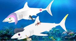 Size: 1215x658 | Tagged: safe, artist:jawsandgumballfan24, rumble, sweetie belle, shark, g4, cutie mark, female, male, microphone, ocean, rumble shark, shark belle, species swap, underwater