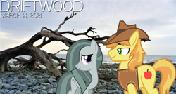 Size: 2064x1105 | Tagged: safe, anonymous artist, braeburn, marble pie, earth pony, pony, g4, beach, braeble, cloud, day, driftwood, duet, female, looking at each other, lyrics in the description, male, mare, ocean, rock, shipping, smiling, song reference, stallion, straight, winter, youtube link in the description