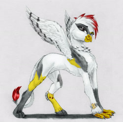Size: 3088x3080 | Tagged: safe, artist:joestick, derpibooru exclusive, editor:vedont, oc, oc only, griffon, colored, female, high res, solo