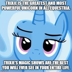 Size: 500x500 | Tagged: safe, edit, trixie, pony, unicorn, g4, caption, female, great and powerful, image macro, imgflip, impact font, mare, meme, solo, text, third person