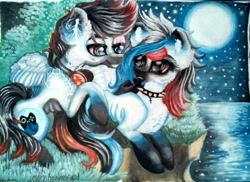Size: 1024x744 | Tagged: safe, artist:maryhoovesfield, oc, oc only, pegasus, pony, choker, coat markings, duo, full moon, looking back, moon, night, outdoors, pegasus oc, pond, smiling, socks (coat markings), spiked choker, stars, traditional art, wings