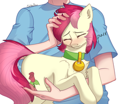 Size: 2500x2152 | Tagged: safe, artist:chibadeer, roseluck, earth pony, human, pony, behaving like a cat, blushing, chest fluff, collar, commission, commissioner:doom9454, cute, cuteluck, ear fluff, eyes closed, fluffy, holding a pony, human on pony petting, pet tag, petting, pony pet, purring, rosabetes, rosepet