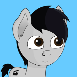 Size: 800x800 | Tagged: safe, artist:samquakbrony, oc, oc only, pony, solo