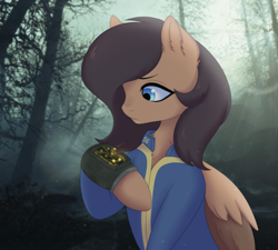 Size: 2000x1800 | Tagged: safe, artist:alunedoodle, oc, oc only, oc:quillwright, pegasus, pony, fallout equestria, clothes, fallout equestria: of shadows, female, jumpsuit, pipbuck, solo, vault suit