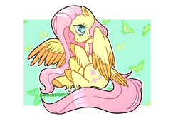 Size: 1280x905 | Tagged: safe, artist:blueonegone, fluttershy, butterfly, pegasus, pony, g4, colored hooves, cute, female, looking at you, mare, one wing out, outline, partial background, profile, raised hoof, shyabetes, sitting, solo, tail feathers, two toned wings, unshorn fetlocks, white outline, wings