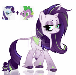 Size: 1280x1272 | Tagged: safe, artist:sush-adopts, rarity, spike, oc, dracony, hybrid, g4, deviantart watermark, interspecies offspring, obtrusive watermark, offspring, parent:rarity, parent:spike, parents:sparity, simple background, watermark, white background