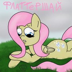 Size: 1024x1024 | Tagged: safe, artist:a-jaller, fluttershy, pegasus, pony, g4, cyrillic, female, grass, looking down, lying down, prone, russian, sad, solo, teeth