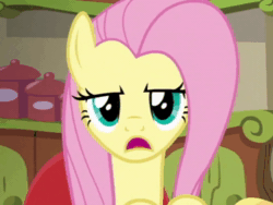 Size: 480x360 | Tagged: safe, screencap, fluttershy, pegasus, pony, flutter brutter, g4, animated, cropped, female, looking at you, mare, solo, sound, talking, webm