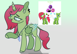 Size: 2388x1668 | Tagged: safe, artist:caramelbolt24, oc, oc only, oc:floral music, alicorn, pony, abstract background, alicorn oc, ear fluff, flower, horn, jewelry, leonine tail, necklace, open mouth, raised hoof, reference sheet, signature, wings