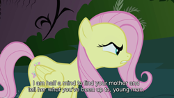 Size: 1920x1080 | Tagged: safe, screencap, fluttershy, pegasus, pony, g4, stare master, abuse, angry, everfree forest, female, mare, solo, subtitles, teeth