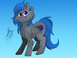 Size: 1600x1200 | Tagged: safe, artist:jay_wackal, oc, oc only, pegasus, pony, male, original character do not steal, solo, stallion