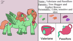 Size: 1280x720 | Tagged: safe, artist:schumette14, oc, oc:passiflore, oc:valeriane, earth pony, pegasus, pony, first design, next generation, offspring, parent:tree hugger, parent:zephyr breeze, parents:zephyrhugger, twins