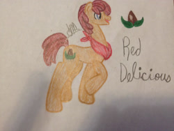 Size: 2048x1536 | Tagged: safe, artist:akajulester, oc, oc only, oc:red delicious, earth pony, pony, colored pencil drawing, colt, cutie mark, handkerchief, male, offspring, parent:applejack, parent:caramel, parents:carajack, seed, solo, traditional art