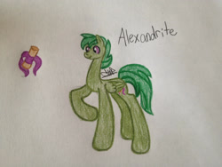 Size: 2048x1536 | Tagged: safe, artist:akajulester, oc, oc only, oc:alexandrite, dracony, hybrid, pegasus, pony, colored pencil drawing, colt, cutie mark, interspecies offspring, male, offspring, parent:rarity, parent:spike, parents:sparity, scroll, solo, traditional art