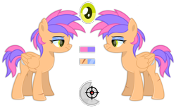 Size: 4096x2500 | Tagged: safe, artist:ponkus, oc, oc only, oc:nimbus, pegasus, pony, female, mare, reference sheet, solo