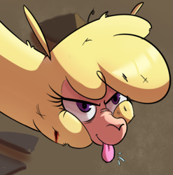 Size: 377x381 | Tagged: safe, artist:hitsuji, paprika (tfh), alpaca, them's fightin' herds, angry, blood, bust, community related, looking up, portrait, raspberry, reaction image, solo, tongue out
