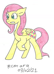 Size: 942x1286 | Tagged: safe, artist:cmara, fluttershy, pegasus, pony, g4, female, mare, raised hoof, simple background, solo, traditional art, white background