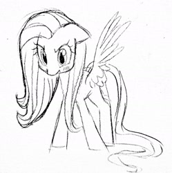 Size: 1972x1983 | Tagged: safe, artist:syrupyyy, fluttershy, pegasus, pony, g4, angry, blushing, cute, ears back, female, madorable, mare, shyabetes, simple background, solo, stare, the stare, traditional art, white background