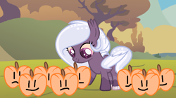 Size: 1218x683 | Tagged: safe, artist:lominicinfinity, oc, oc only, oc:starlight night, bat pony, pony, female, filly, halloween, holiday, jack-o-lantern, pumpkin, solo