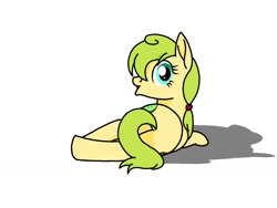Size: 1024x768 | Tagged: safe, artist:windy breeze, oc, oc only, earth pony, pony, both cutie marks, butt, female, food, kiwi (fruit), looking back, lying down, mare, not apple fritter, on side, plot, shadow, simple background, solo, white background