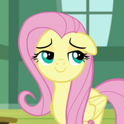 Size: 1080x1080 | Tagged: safe, screencap, fluttershy, pegasus, pony, fluttershy leans in, g4, cropped, cute, female, floppy ears, folded wings, lidded eyes, mare, shyabetes, smiling, smug, solo, wings