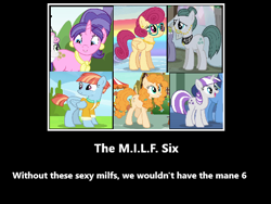 Size: 480x360 | Tagged: safe, edit, edited screencap, screencap, cloudy quartz, cookie crumbles, pear butter, posey shy, twilight velvet, windy whistles, earth pony, pegasus, pony, unicorn, g4, female, mare, milf, milf six, mom six, motivational poster