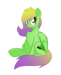 Size: 1472x1784 | Tagged: safe, artist:allyster-black, oc, oc only, pegasus, pony, 2022 community collab, derpibooru community collaboration, female, mare, solo, two toned mane, two toned tail