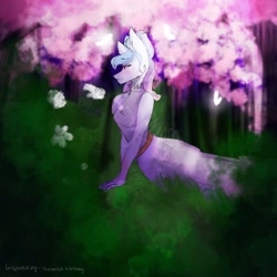 Size: 1024x1024 | Tagged: safe, artist:yoonah, oc, oc only, earth pony, anthro, cherry blossoms, cherry tree, earth pony oc, flower, flower blossom, outdoors, solo, tree
