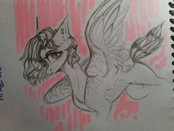 Size: 1080x810 | Tagged: safe, artist:jsunlight, oc, oc only, pegasus, pony, sketch, solo, traditional art