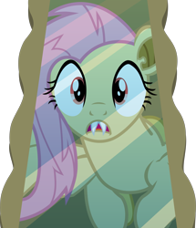 Size: 3867x4500 | Tagged: safe, artist:frownfactory, fluttershy, bat pony, pegasus, pony, bats!, g4, bat ponified, fangs, female, flutterbat, mare, mirror, race swap, reflection, simple background, solo, transparent background, vector