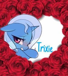 Size: 1080x1194 | Tagged: safe, artist:tomko51, trixie, pony, unicorn, g4, female, flower, horn, mare, solo, text