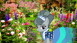 Size: 2064x1161 | Tagged: safe, artist:not-yet-a-brony, edit, marble pie, earth pony, pony, g4, 2021, clothes, dress, female, flower, garden, lyrics in the description, mare, song reference, spring, youtube link in the description