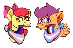 Size: 512x337 | Tagged: safe, artist:artwing74, apple bloom, scootaloo, earth pony, pegasus, pony, g4, asexual, asexual pride flag, bisexual, bisexual pride flag, cropped, demigirl, demigirl pride flag, gender headcanon, headcanon, lgbt headcanon, male, pride, pride flag, sexuality headcanon, simple background, trans male, trans stallion scootaloo, transgender, transgender pride flag, transparent background