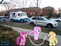 Size: 3264x2448 | Tagged: safe, artist:djdavid98 edits, artist:topsangtheman, noi, piña colada, ruby pinch, earth pony, pony, unicorn, g4, car, high res, honda, honda civic, honda cr-v, ice cream truck, irl, jump rope, photo, ponies in real life, porsche, porsche cayenne