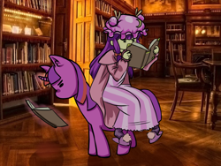 Size: 800x600 | Tagged: artist needed, safe, twilight sparkle, g4, book, crossover, duo, duo female, female, library, mare, nerd, patchouli knowledge, reading, touhou, twichouli