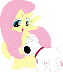 Size: 3122x3561 | Tagged: safe, artist:porygon2z, fluttershy, g4, brian griffin, crossover, family guy, high res, male, simple background, transparent background