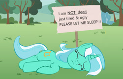 Size: 6435x4180 | Tagged: safe, anonymous artist, lyra heartstrings, g4, drawthread, eyes closed, l.u.l.s., ponified animal photo, sign, sleeping